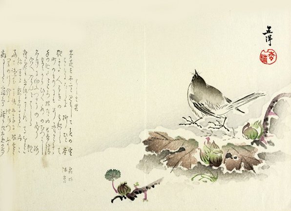 photo21.jpg