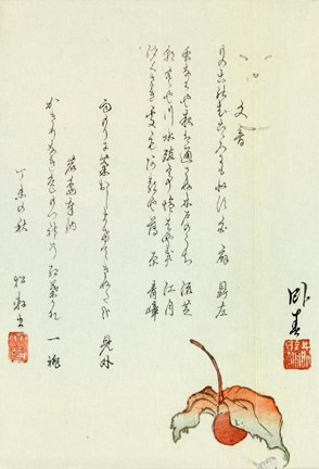 photo3.jpg