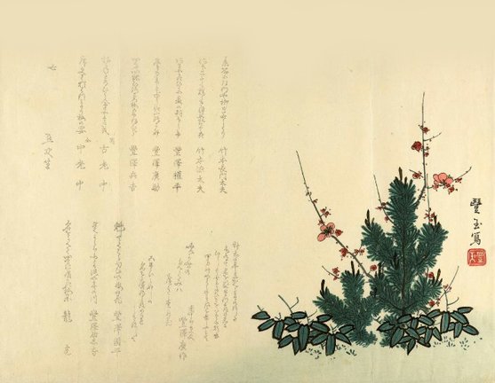 photo46.jpg