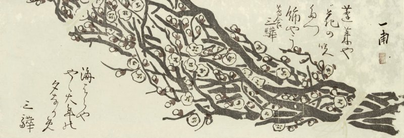 photo55.jpg