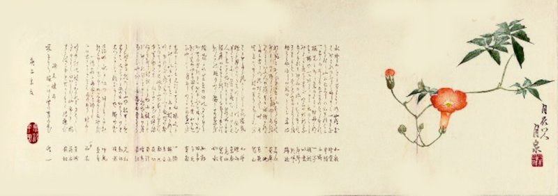 photo8.jpg