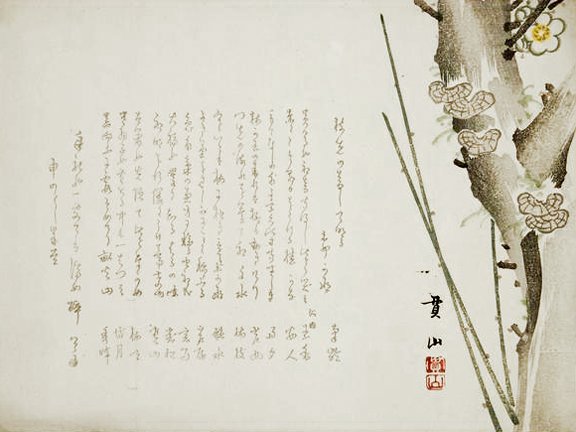 photo13.jpg