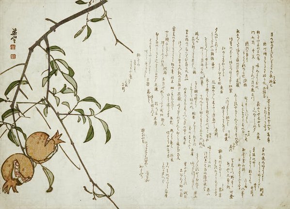 photo22.jpg