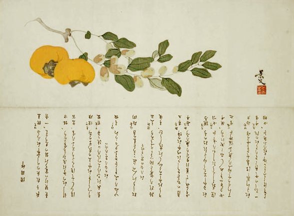 photo28.jpg