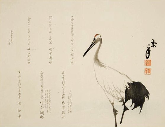 photo29.jpg