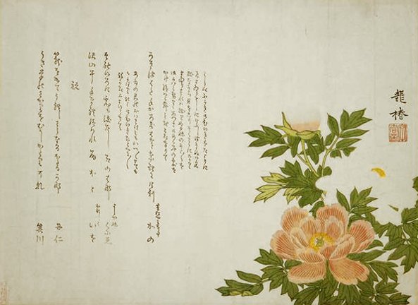 photo47.jpg