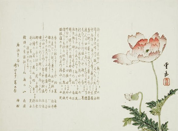 photo29.jpg