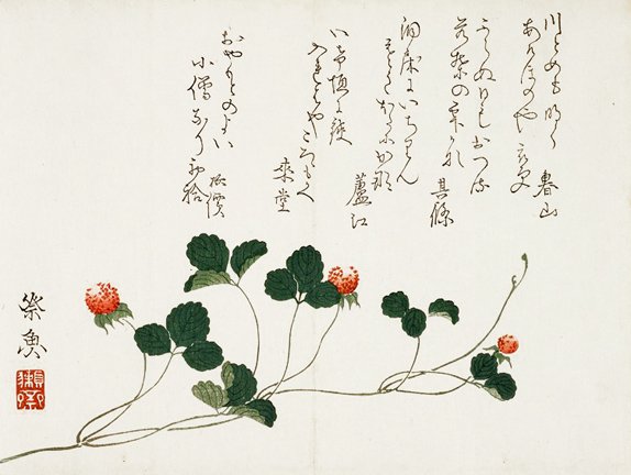 photo3.jpg