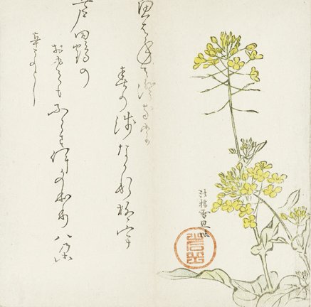 photo31.jpg