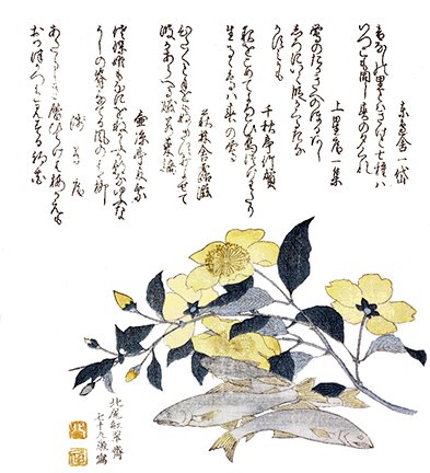 photo37.jpg