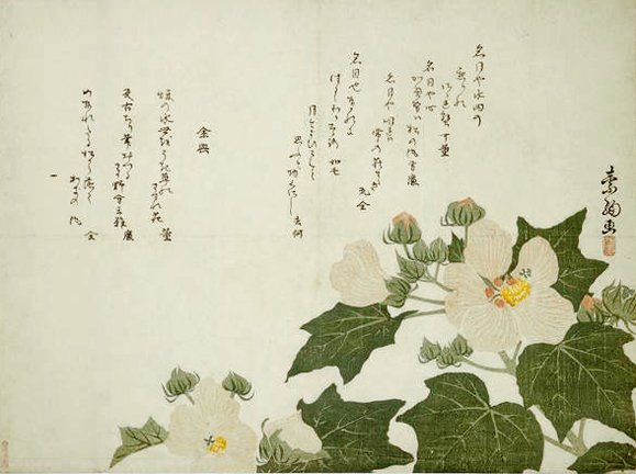photo87.jpg