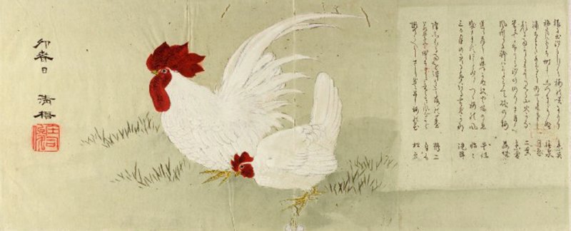 photo9.jpg