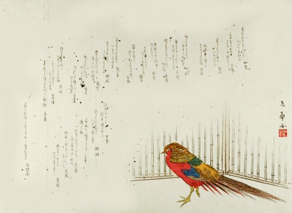 photo15.jpg