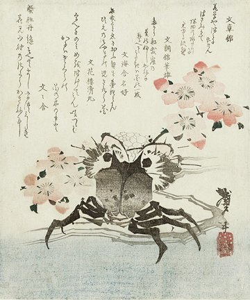 photo2.jpg
