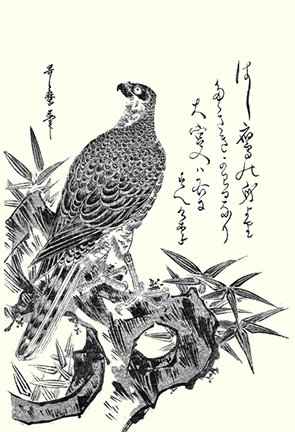 photo25.jpg
