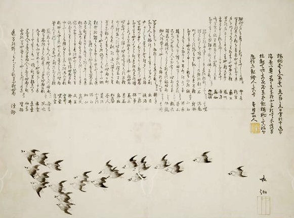 photo29.jpg