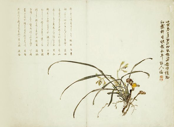 photo27.jpg