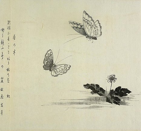 photo28.jpg
