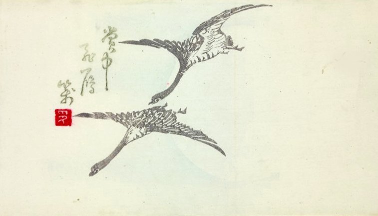 photo37.jpg