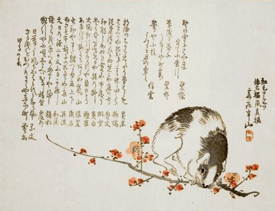 photo11.jpg