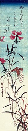 photo13.jpg