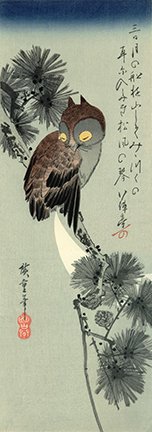 photo26.jpg