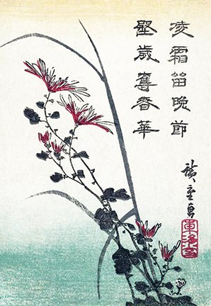 photo5.jpg