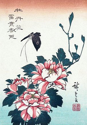 photo58.jpg