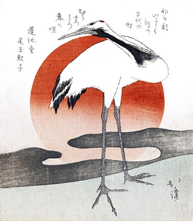 photo.jpg
