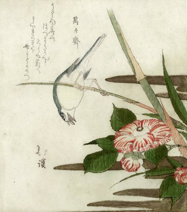 photo13.jpg