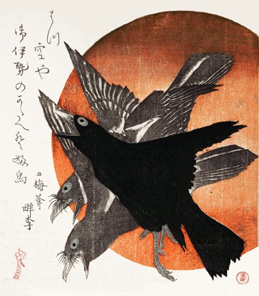 photo15.jpg