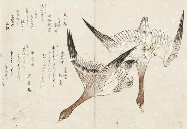 photo19.jpg