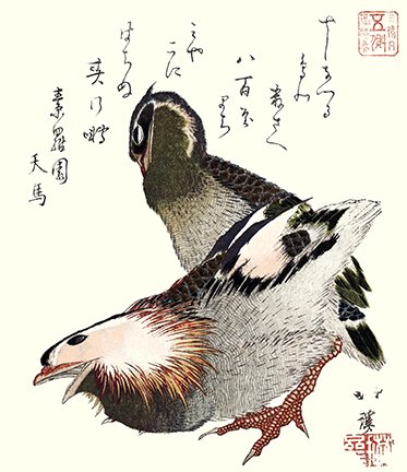 photo2.jpg