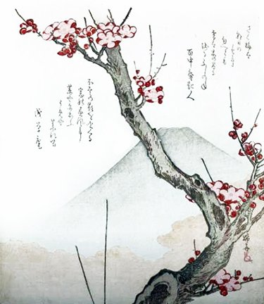 photo5.jpg
