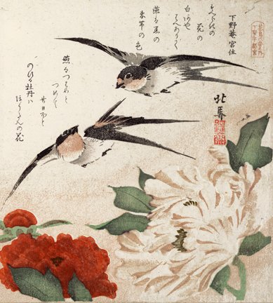 photo8.jpg