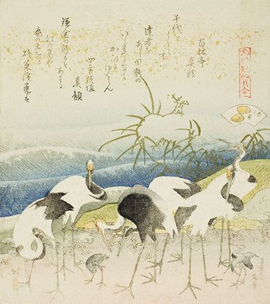 photo15.jpg