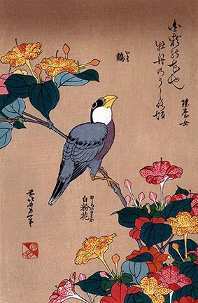 photo20.jpg
