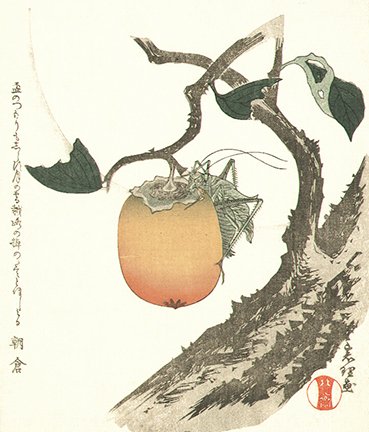 photo4.jpg