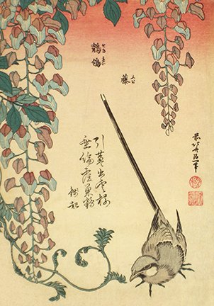 photo8.jpg