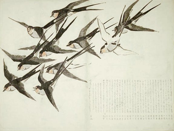 photo11.jpg