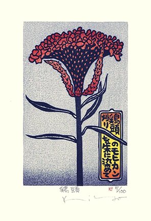 photo17.jpg