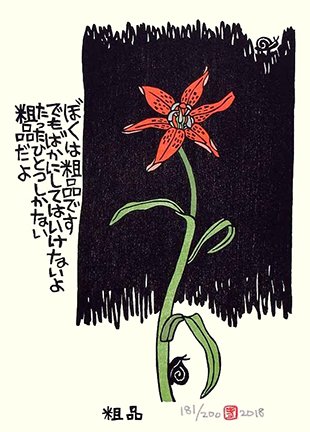photo21.jpg