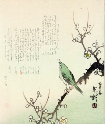 photo.jpg
