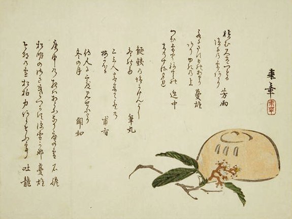photo7.jpg