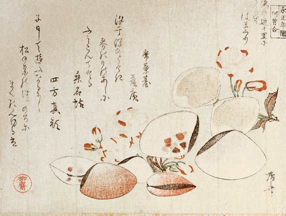 photo7.jpg