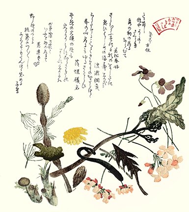 photo17.jpg