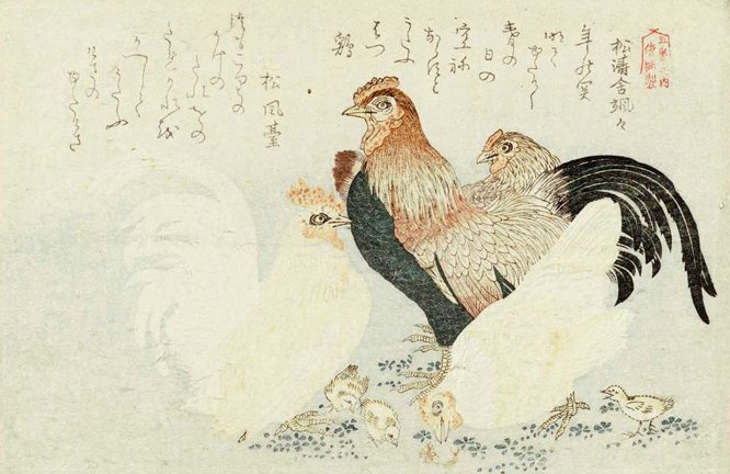 photo19.jpg