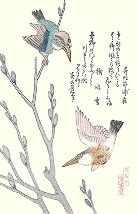 photo24.jpg