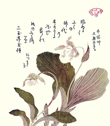 photo26.jpg