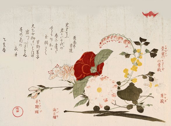 photo31.jpg